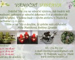 vanocni vystava